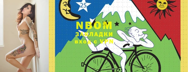индика Алзамай