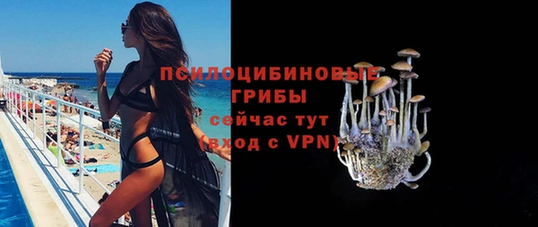 индика Алзамай