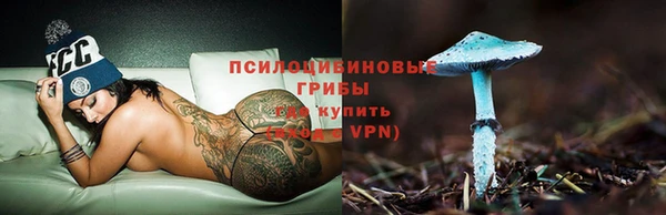 хмурый Алексеевка