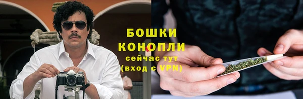 ешки Алексин