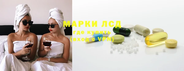 индика Алзамай