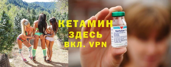 ешки Алексин