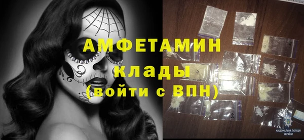 индика Алзамай