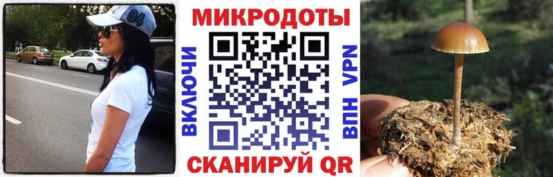 Галлюциногенные грибы Psilocybine cubensis  купить наркотик  Берёзовский 
